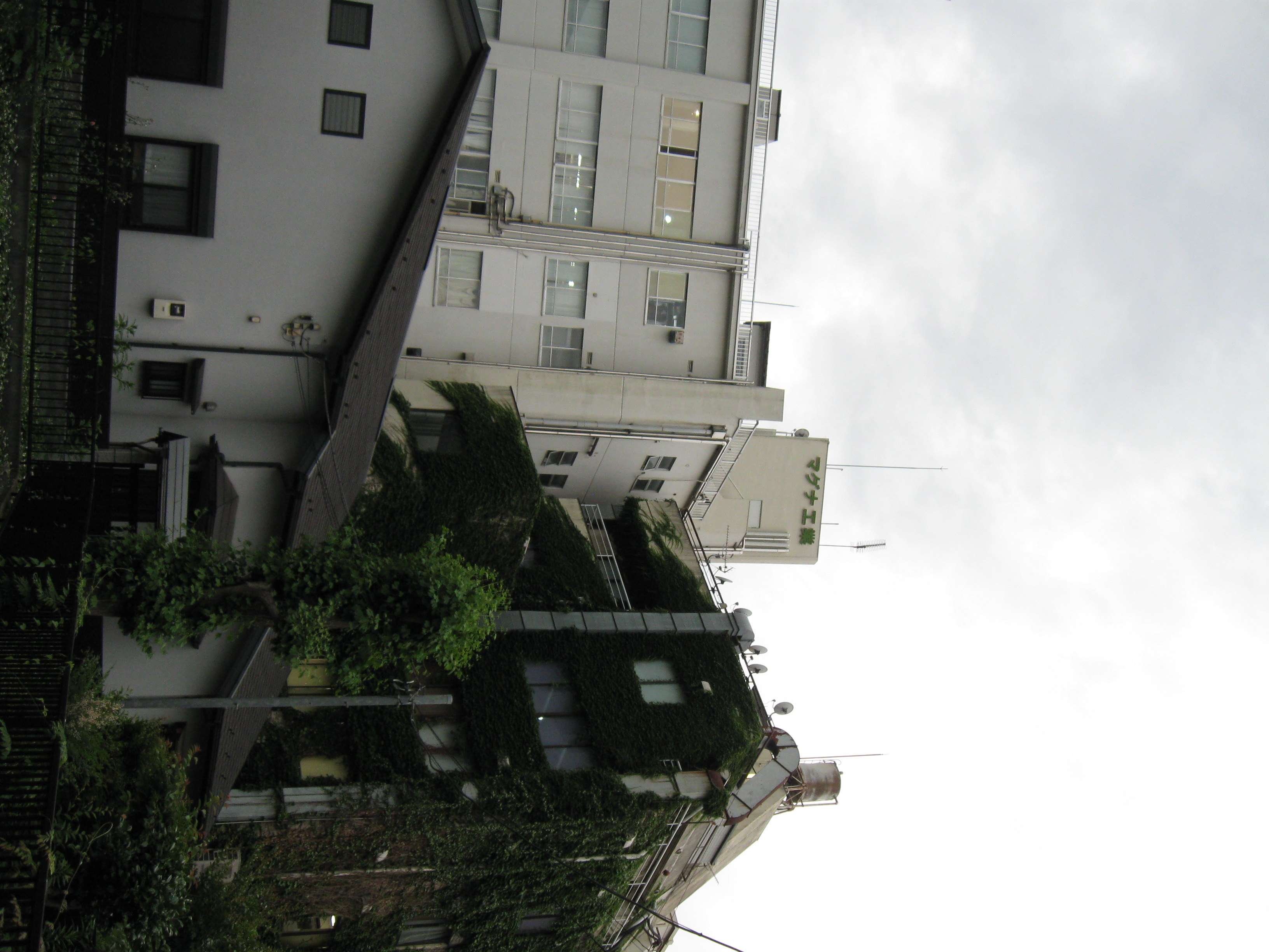 Image 9